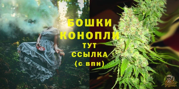 дурь Белокуриха