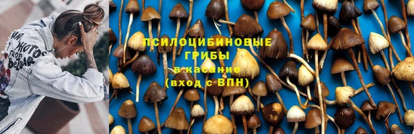твердый Медногорск