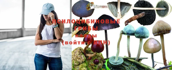 дмт Белоозёрский