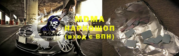 молекула духа Богданович