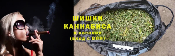 дурь Белокуриха