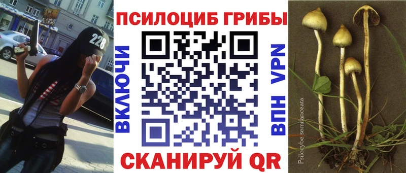 наркотики  Бобров  Псилоцибиновые грибы Magic Shrooms 